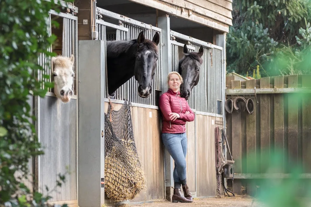Horsemanship - foto 2