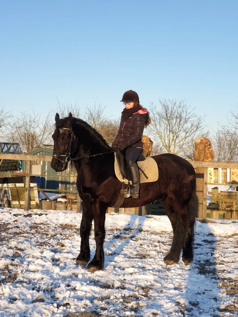 Tamara Bulham & paardensportcentrum zilverstad - foto 1