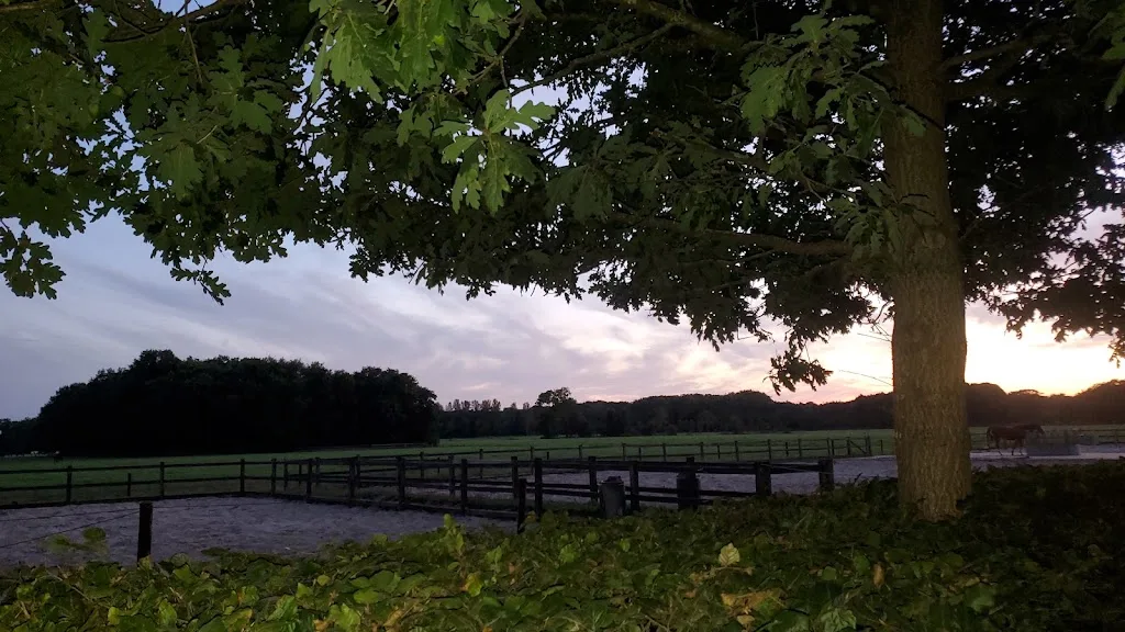 Stal 's-Gravenweg - foto 2