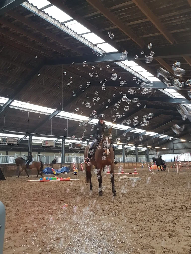 Equi Joy Traning - foto 1
