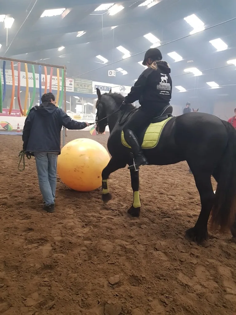 Equi Joy Traning - foto 2