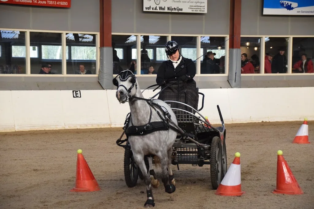 Manege de Oorsprong - foto 3