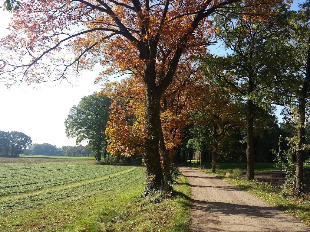 Friesenstal-Reuselinkhof - foto 2