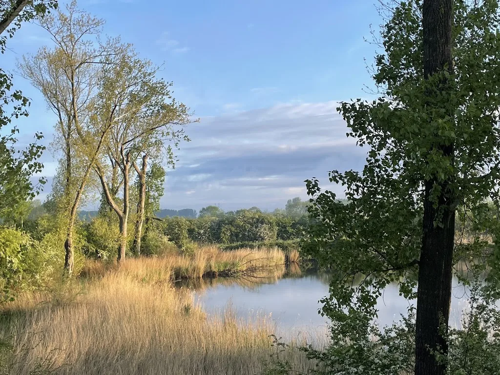 Stal de Wiel - foto 2