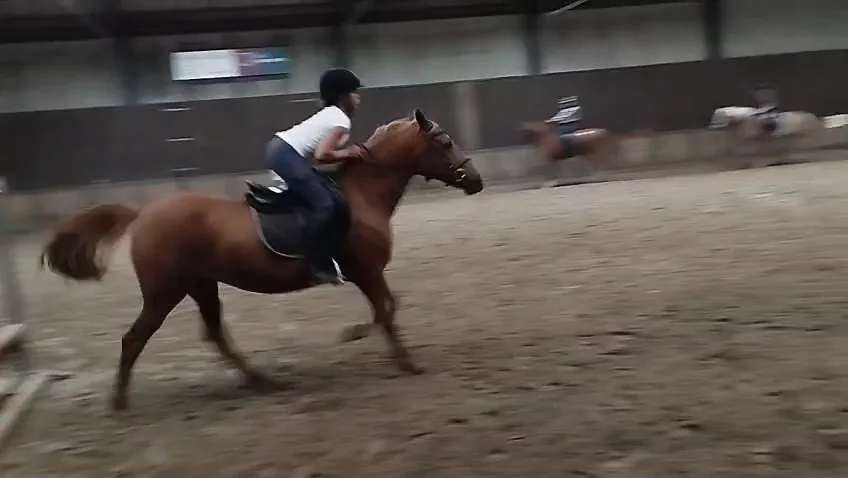 Manege RCA - foto 2