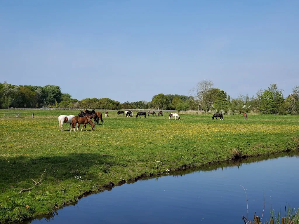 Stal van Nobelen B.V. - foto 2