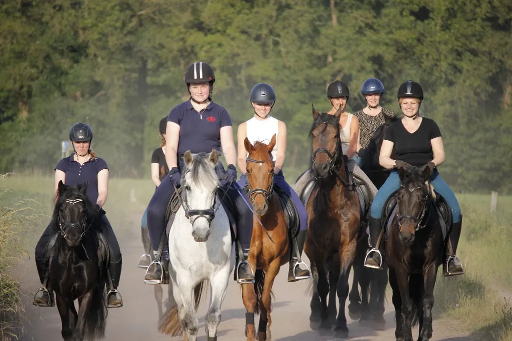 Aalbrinkhoeve Paardenhouderij De - foto 1
