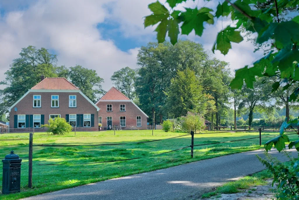Aalbrinkhoeve Paardenhouderij De - foto 3