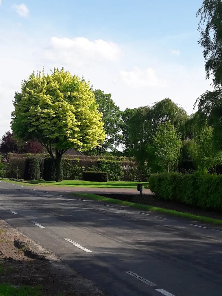 Stal de Hondsbergen - foto 1