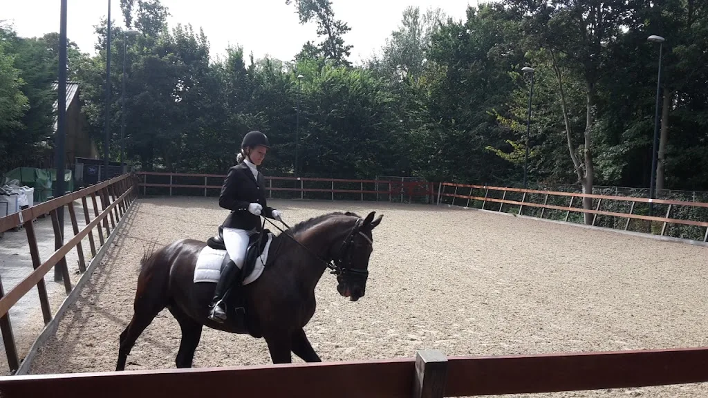 Manege De Wildhoef - foto 3