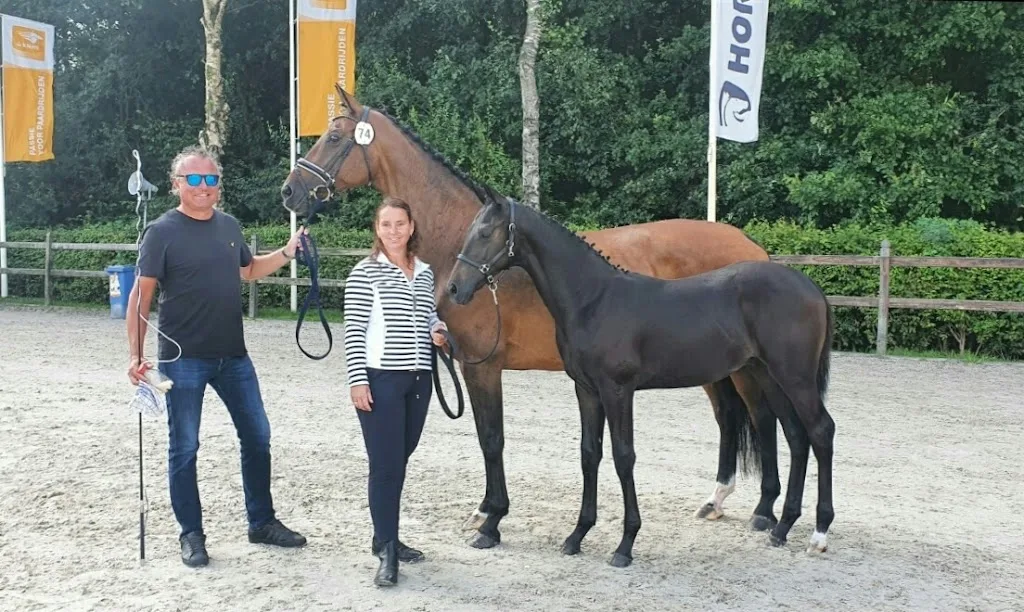 Manege Molkwerum - foto 2