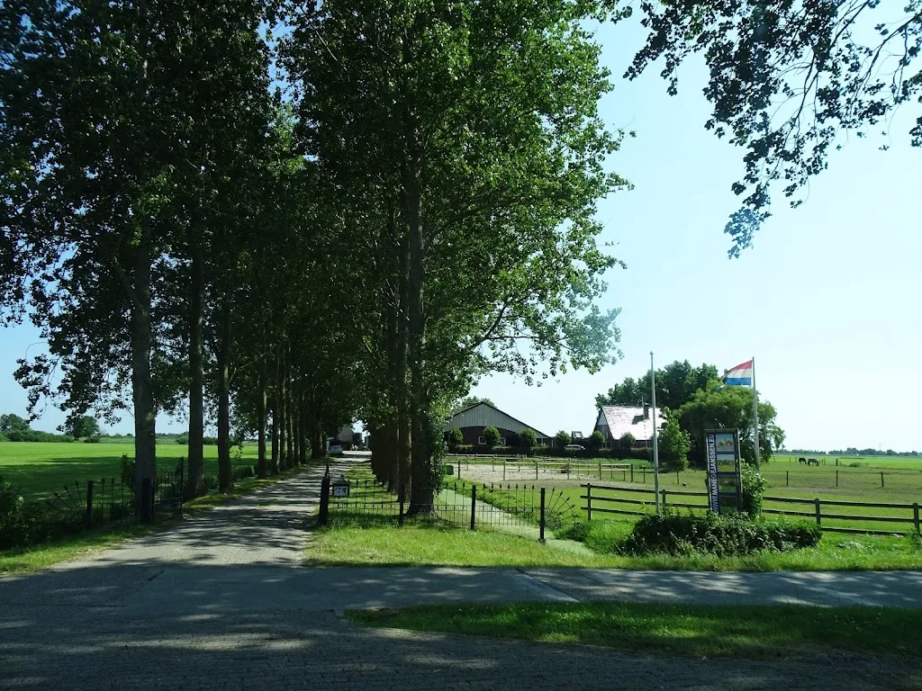 Manege Molkwerum - foto 3