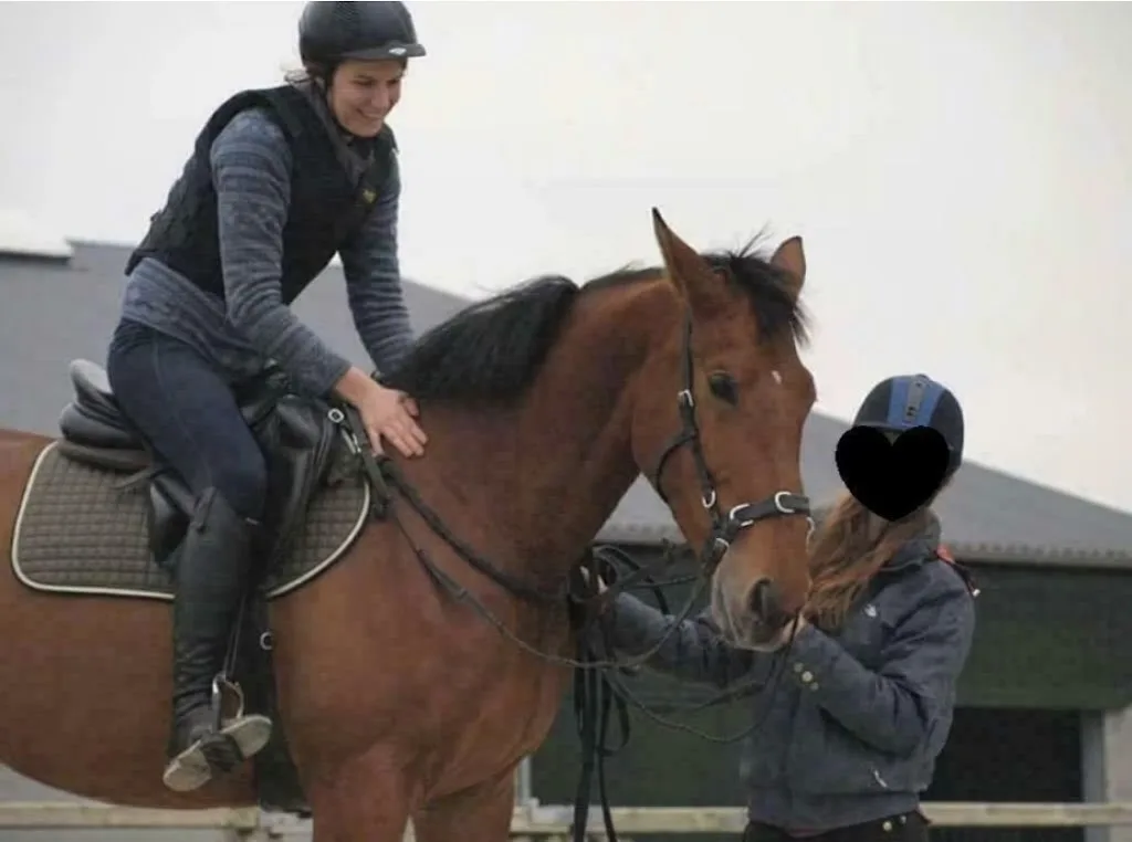 Paard en Instructie - foto 1