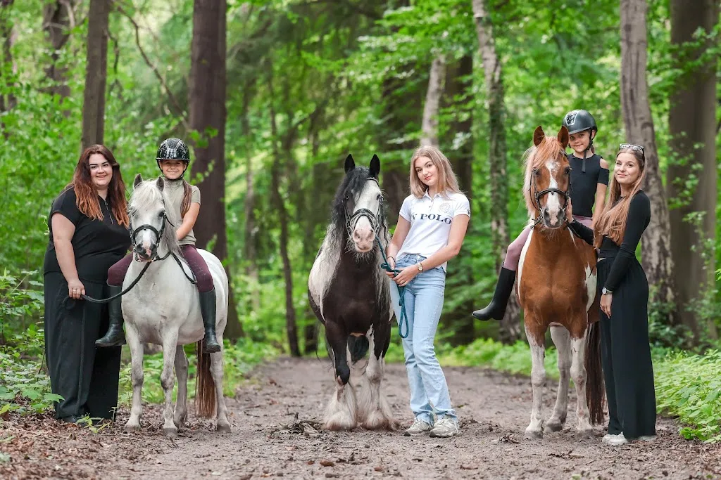 HRC Knollegruun / Manege met Camping - foto 1