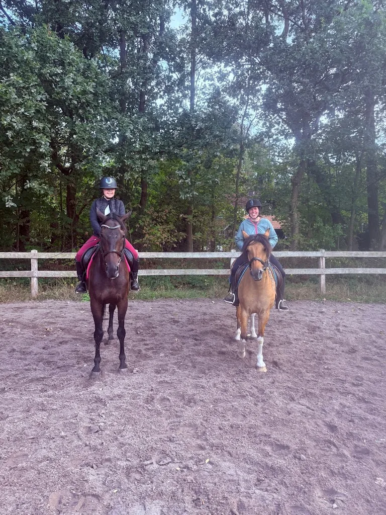 HRC Knollegruun / Manege met Camping - foto 2