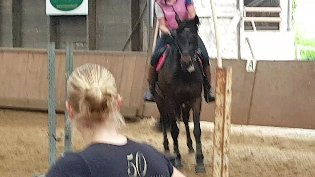 HRC Knollegruun / Manege met Camping - foto 3
