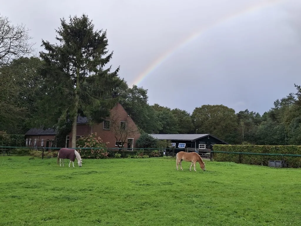 Stal Westerhof - foto 1