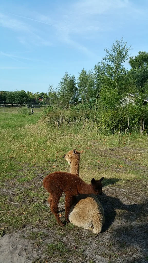 Paardenstalling Mts G.H.M & A.H Manning - foto 1