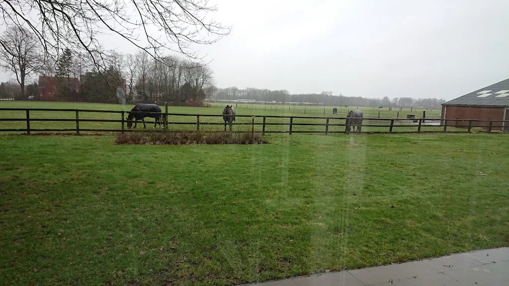 Paardenstalling Mts G.H.M & A.H Manning - foto 2