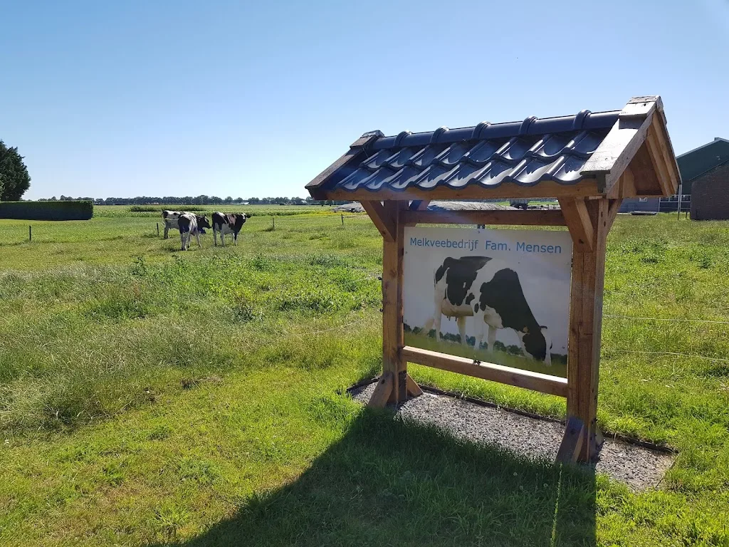 Paardenstalling Mts G.H.M & A.H Manning - foto 3