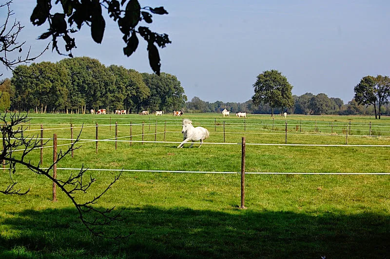 Springstal 't Bergse Bos - foto 3