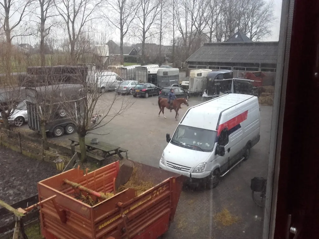 Paardenpark De Wilgen - foto 2