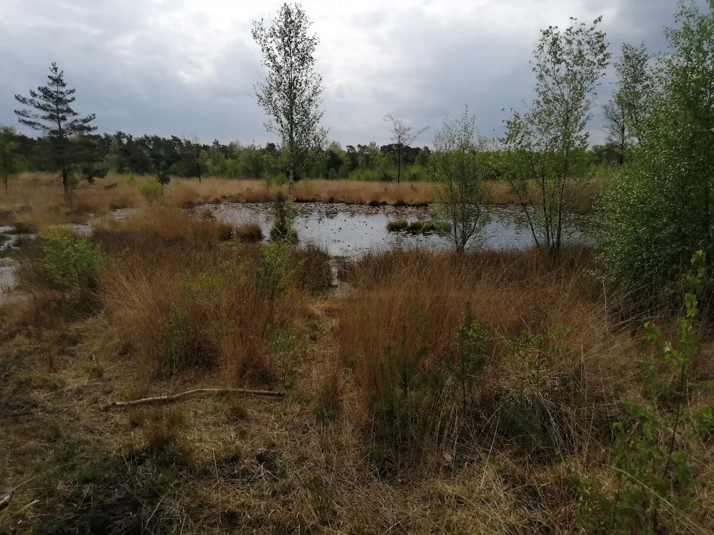 Stoeterij 't Vressels Bos - foto 2