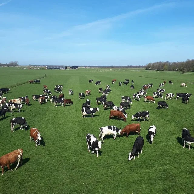 Stal de Meent - foto 1