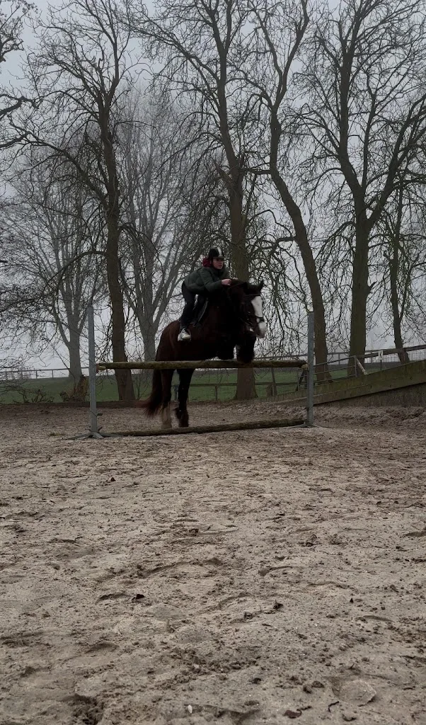 Boerderij Willemshof - foto 1