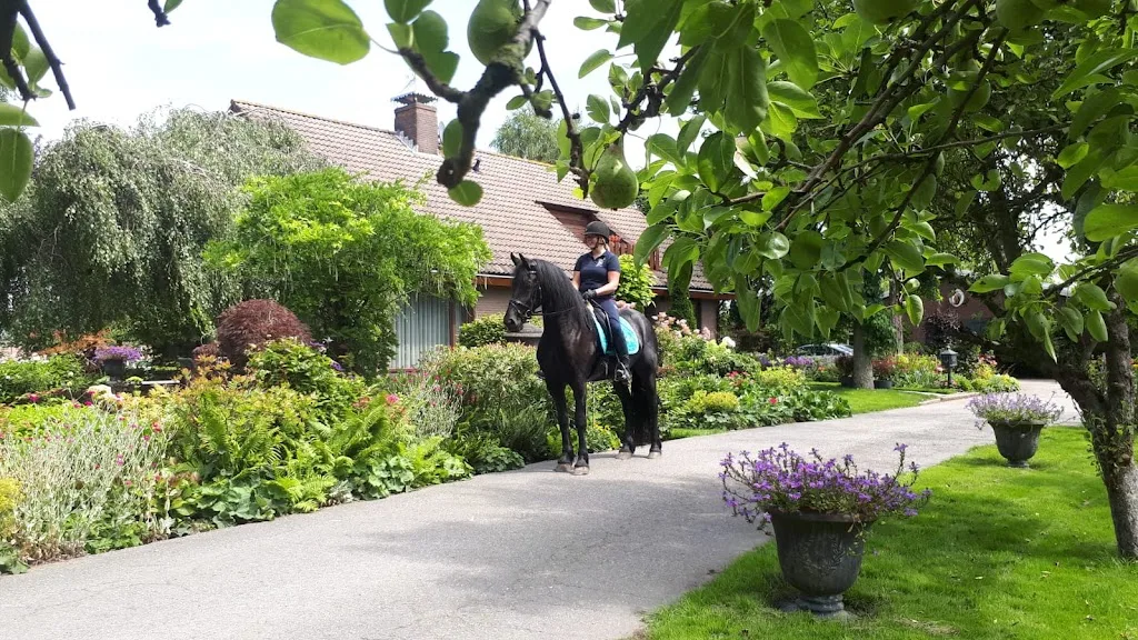 Boerderij Willemshof - foto 2