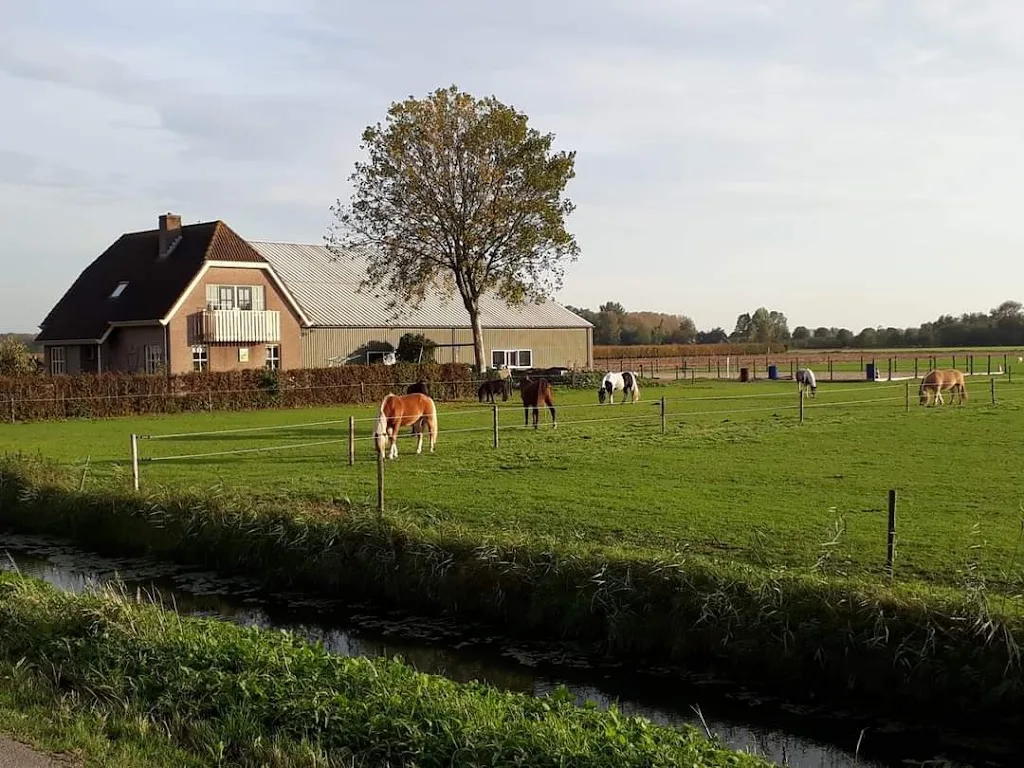 Stal d'n zute Inval - foto 1
