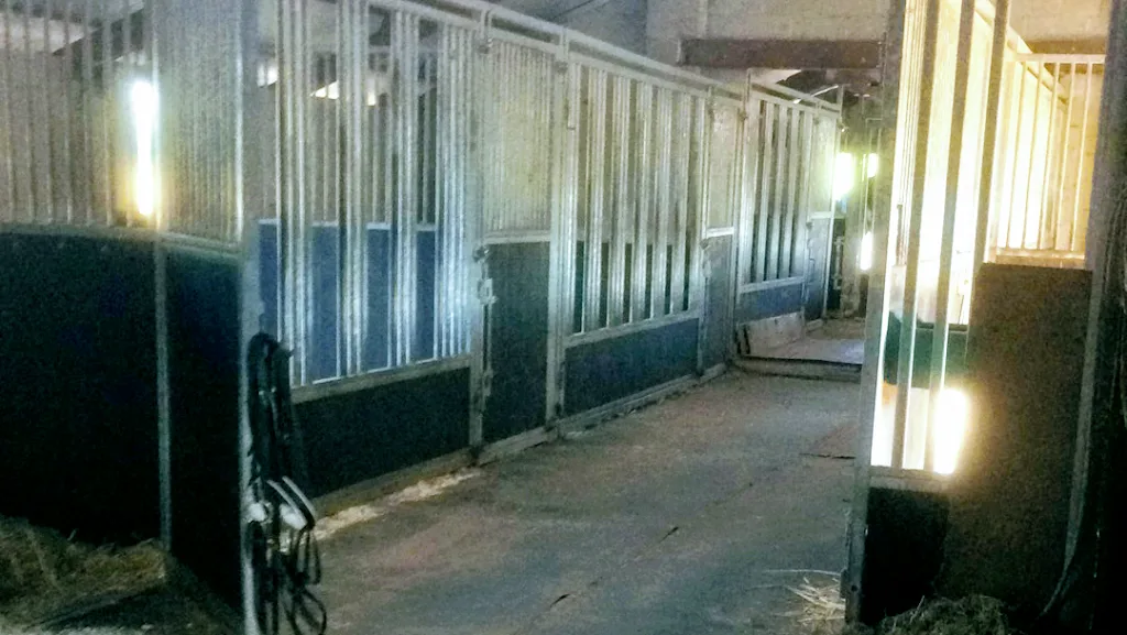 Threeleap Stables - foto 3