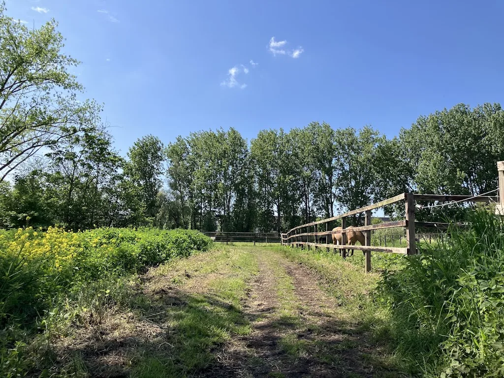 Ruiterclub Bloemendaal - foto 1