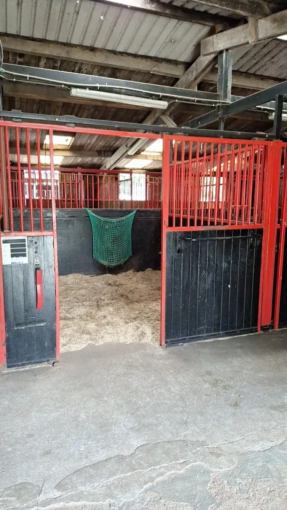 Stal van der Woude - foto 1