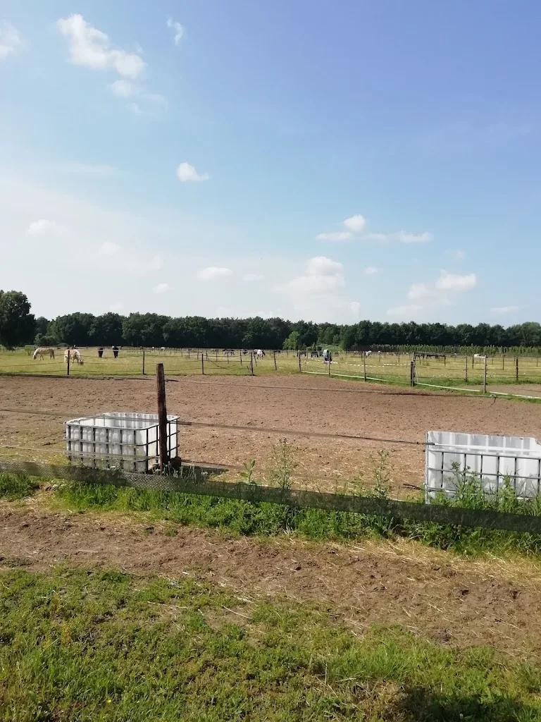 Stal van der Woude - foto 3