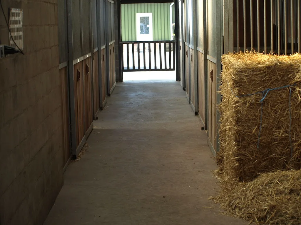 Manege 't Heike - foto 2