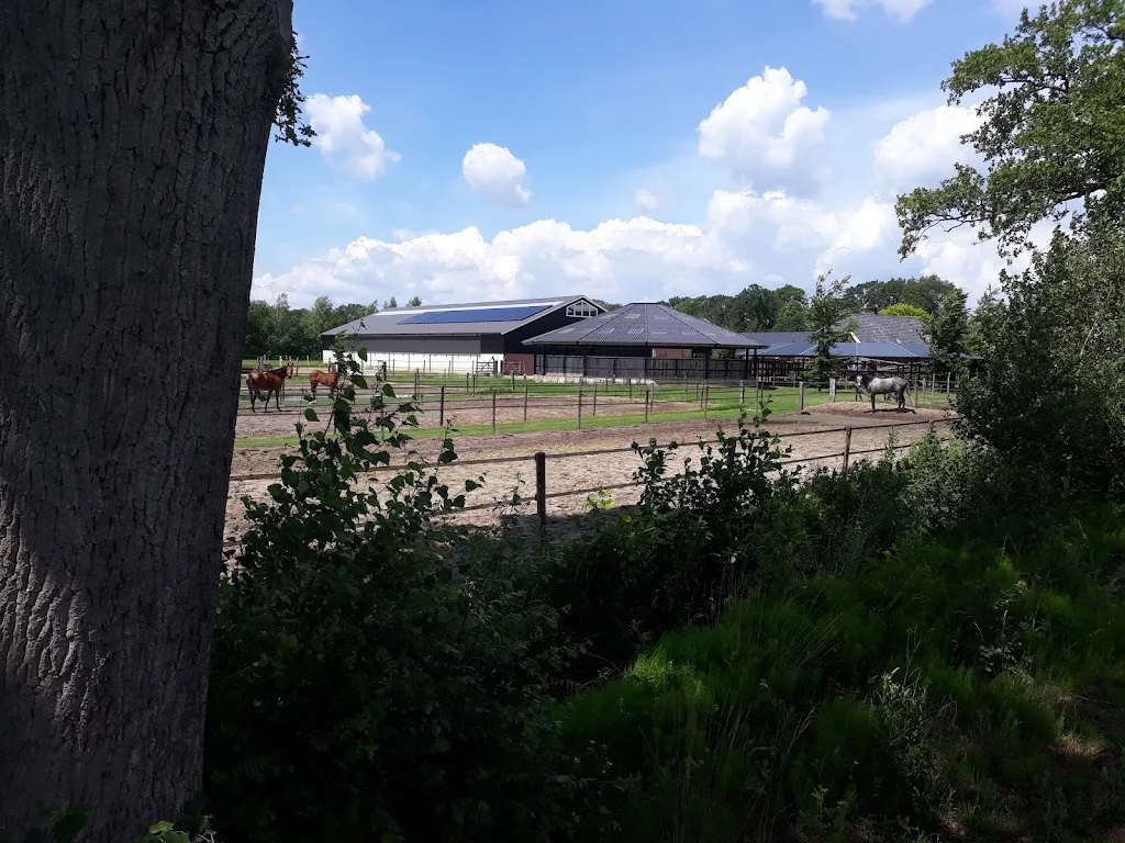 Cloverleaf Stables - foto 1