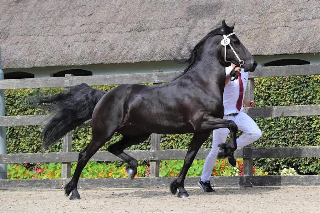 Cloverleaf Stables - foto 2