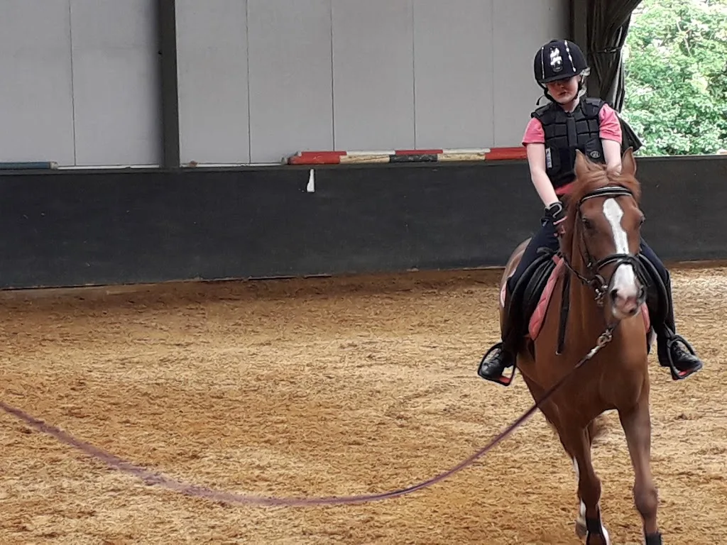 Cloverleaf Stables - foto 3