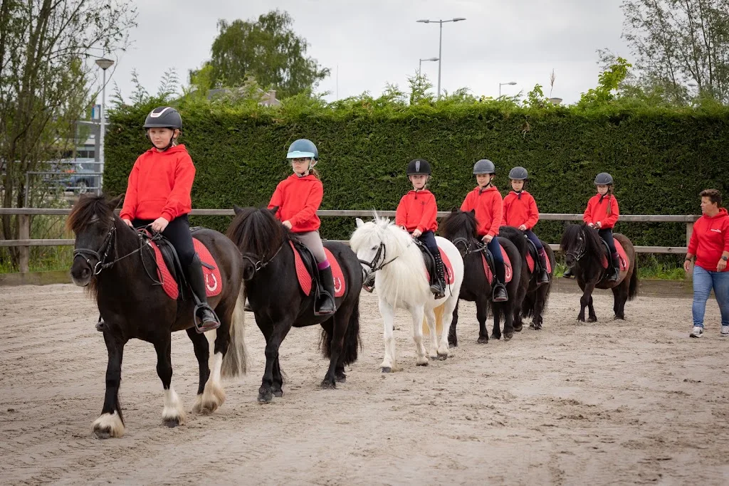 Stichting Manege De Ruif - foto 1