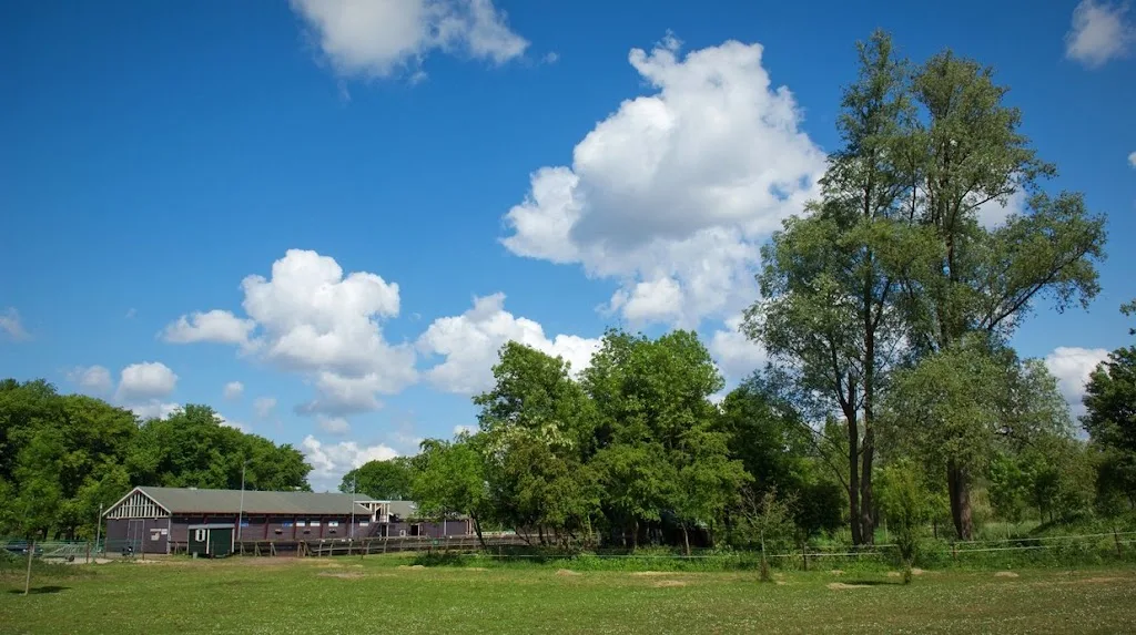 Stichting Manege De Ruif - foto 2