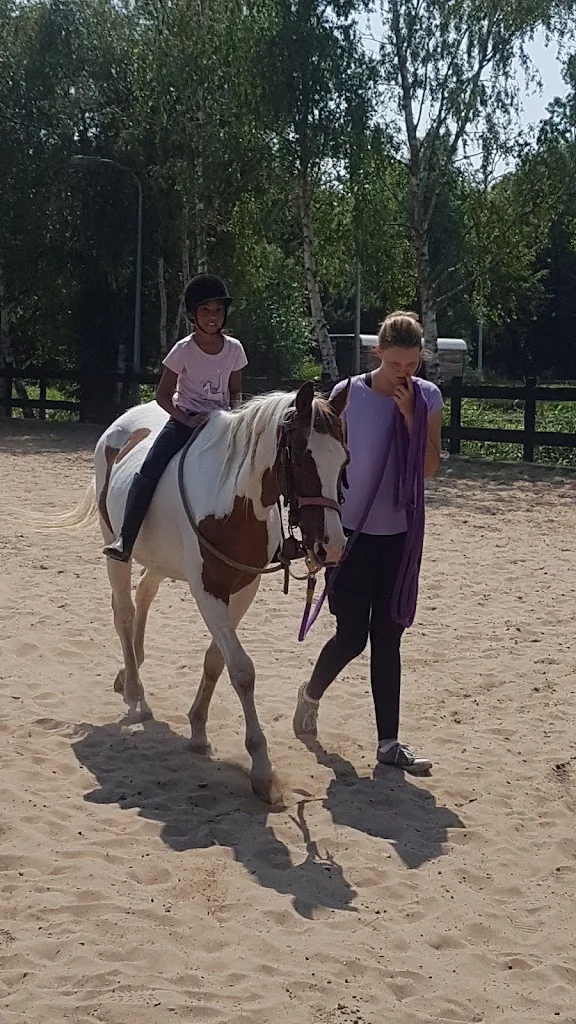 Stichting Manege De Ruif - foto 3