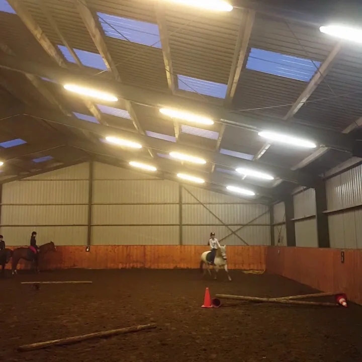 Ruiter en Ponyclub Schanswijk - foto 3