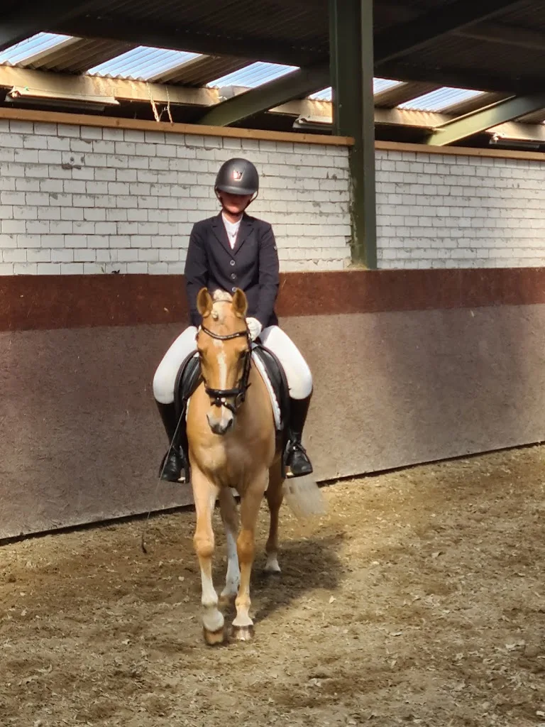 Stal Beatrixhoeve Bouthoorn - foto 1