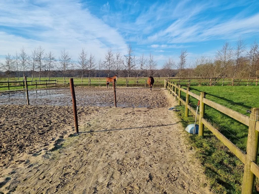 Paardenhouderij Degru - foto 2