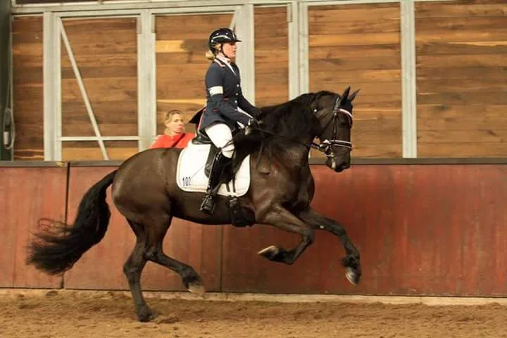 Paardenhouderij Degru - foto 3