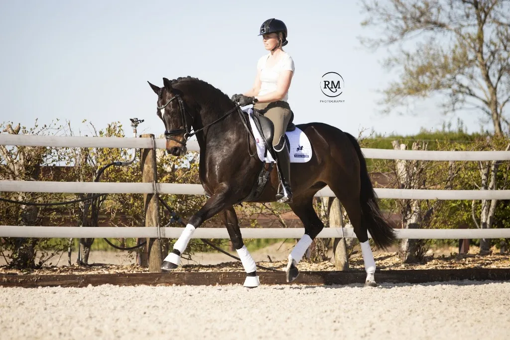 Dressuurstal Kenna Bakker - foto 3