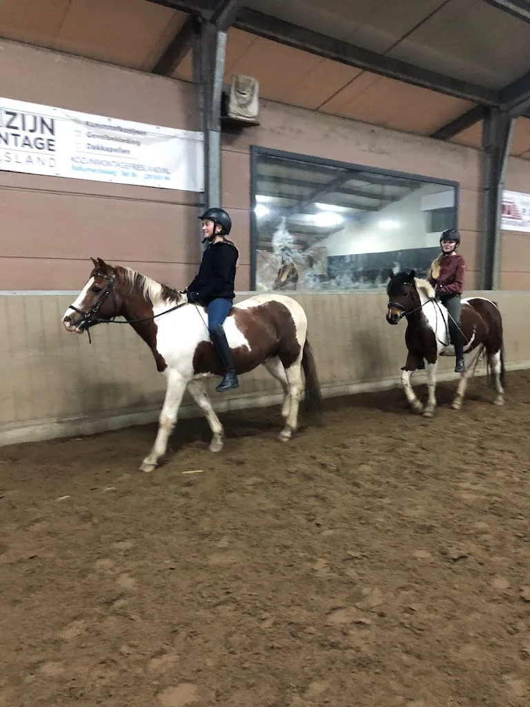 ACB Dressuur - foto 2