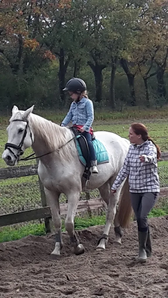 De Koppel🐴 - foto 3
