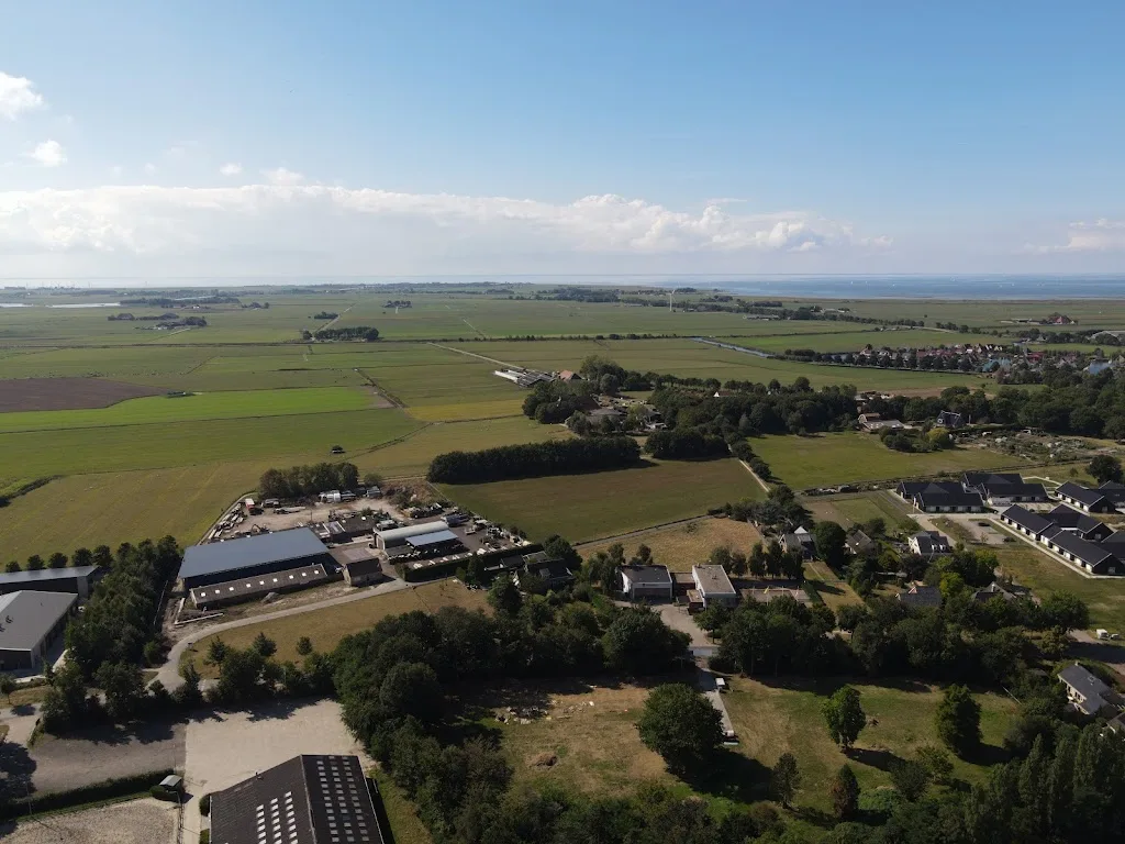 Stal De Heamar - foto 1